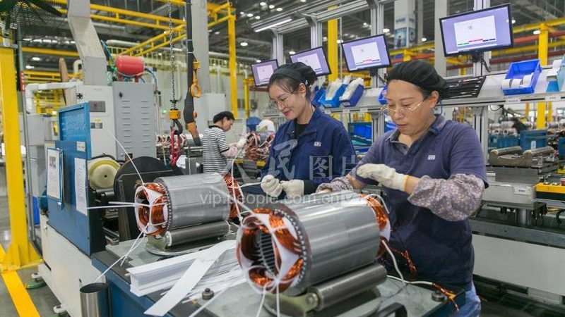 成功加盟后，你需要关注以下运营与管理要点：